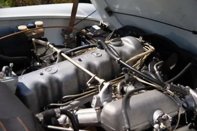 SL 250